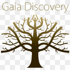 Gaia Discovery, HD Png Download - discovery png
