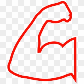 18/8 Stainless Steel, Hd Png Download, Transparent Png - muscle icon png