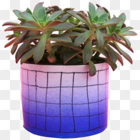 Flowerpot, HD Png Download - planters png