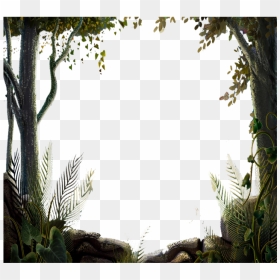 Nature Tree Forest Border Vector, Tree, Nature Design, - Nature Png, Transparent Png - tree border png