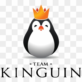 Team Kinguinlogo Square - Kinguin Csgo, HD Png Download - team 10 logo png