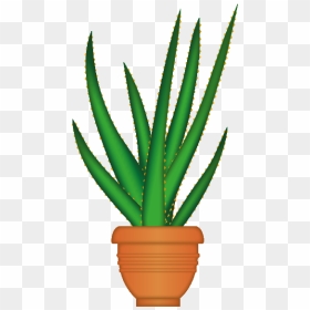 Aloe Emoji, HD Png Download - plant emoji png