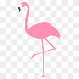 Flamingo 20rb Edited 2 Small - Flamingo Png, Transparent Png - pink flamingo png