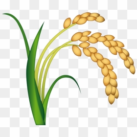 Sheaf Of Rice Emoji, HD Png Download - plant emoji png