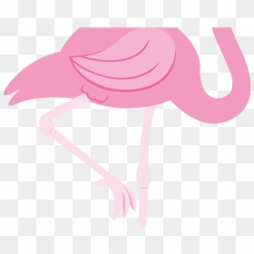 Pink Flamingo Clip Art Flamingo2 Paper Flamingo Clip - Transparent Clear Background Flamingo, HD Png Download - pink flamingo png