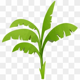 Succulent Clipart Transparent, Succulent Transparent - Banana Tree Vector Png, Png Download - plant emoji png