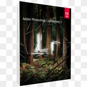 Adobe Photoshop Lightroom 5, HD Png Download - lightroom logo png