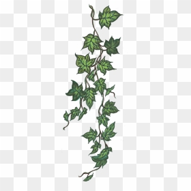 Ivy, HD Png Download - thorn vine png