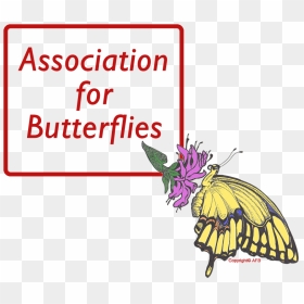 Wings Of Enchantment Adheres To Strict Guidelines For - Association For Butterflies, HD Png Download - butterfly net png
