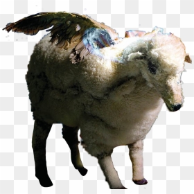 Wingedsheep Sheep Infinityonhigh Falloutboy Fob - Fall Out Boy Infinity On High Songs, HD Png Download - fall out boy logo png