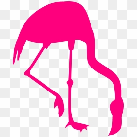 Transparent Flamingo Silhouette, HD Png Download - pink flamingo png
