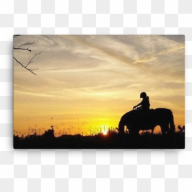 Horse Silhouette"  Class="lazyload None"  Data Sizes="auto"  - Sunset, HD Png Download - golden gate bridge silhouette png