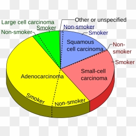 Types Non Small Cell Lung Cancer - Lung Cancer Pie Chart, HD Png Download - lung cancer ribbon png