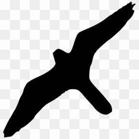 Peregrine Falcon Bird Of Prey Silhouette - Birds Of Prey Siluets, HD Png Download - prey logo png