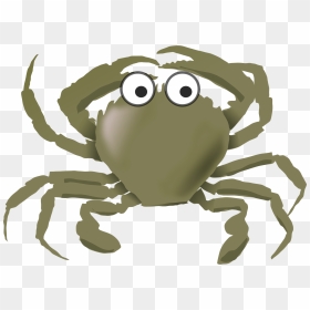 The Angry Crab Seafood Aquatic Animal Angry Crab Shack - Animal Live Both Land And Water, HD Png Download - angry vein png