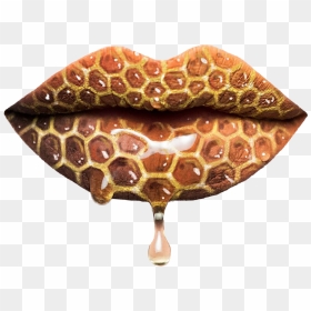 I Was Gonna Add This To The Honey Challenge But Fell - Girl Grey Beauty Lipstick, HD Png Download - honey drip png