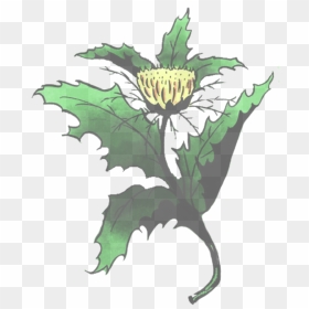 Datura Inoxia, HD Png Download - thorn vine png