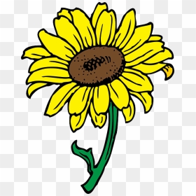 Black, Outline, Yellow, Drawing, Sun, Flower, White - Clip Art Of Sunflower, HD Png Download - sun outline png