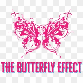 Transparent Butterfly Net Png - Butterflies, Png Download - butterfly net png