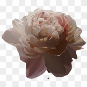 Aesthetic Flower Art Png Transparent Image - Aesthetic Transparent, Png Download - flower art png