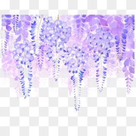 #freetoedit #lavender #hanging #flowers #border - Clipart Transparent Wisteria Png, Png Download - hanging flowers png