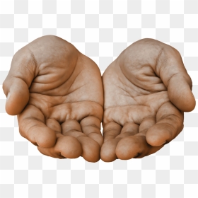 Open Palm Hand Transparent, HD Png Download - angry vein png