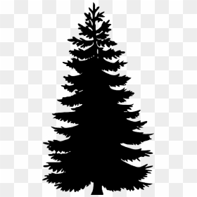 Black, Evergreen, Large, Outline, Silhouette, Tree - Pine Tree Vector Png, Transparent Png - large tree png