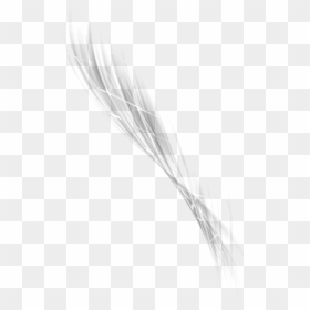 Image Abstract Png Transparent - Einkorn Wheat, Png Download - black abstract png