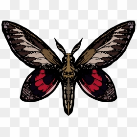 Swallowtail Butterfly, HD Png Download - butterfly net png