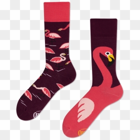 Many Mornings Socks, HD Png Download - pink flamingo png