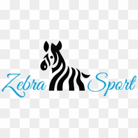 Zebra Sport - Zebra, HD Png Download - baby zebra png