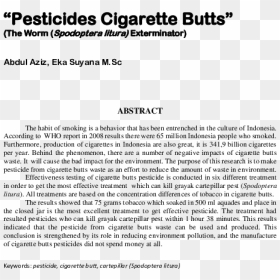 Document, HD Png Download - cigarette butt png