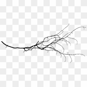 Tree Branch Png Transparent Background - Drawing Branch Transparent Background, Png Download - golden gate bridge silhouette png