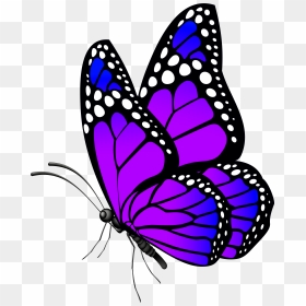 Butterfly Purple Png Clip Art Imageu200b Gallery Yopriceville, Transparent Png - butterfly net png