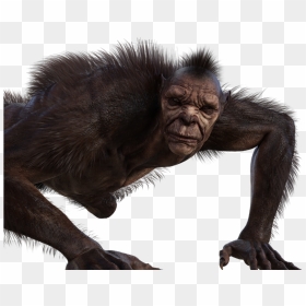 Werewolf Costume, HD Png Download - wolfman png