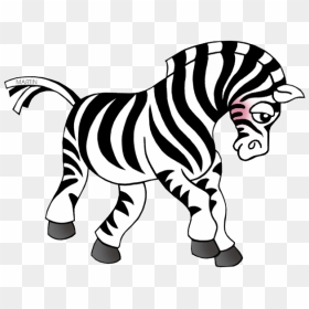 Clipart Zebra Baby Boy - Zebra Animal Clip Art, HD Png Download - baby zebra png