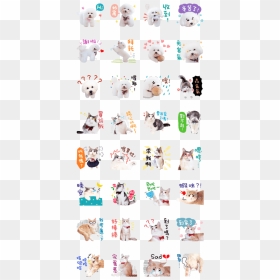 Qbi & Walle & Eva Happy Together - Cartoon, HD Png Download - walle png