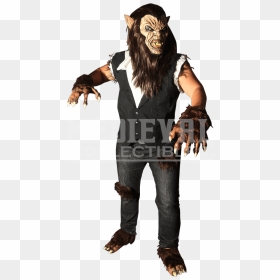 "wolfman Costume - Halloween Costume, HD Png Download - wolfman png