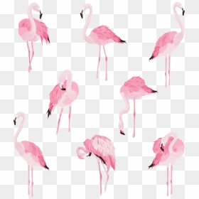 Pink Flamingos Wall Stickers - Seamless Flamingo Pattern, HD Png Download - pink flamingo png