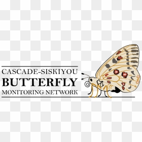 The Logo Of The Cascade-siskiyou Butterfly Monitoring - Pearl-bordered Fritillar, HD Png Download - butterfly net png