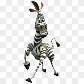 Madagascar Wiki - Alex Marty Melman And Gloria, HD Png Download - baby zebra png