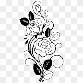 Transparent Flower Vine Png - Rose Vine Drawing, Png Download - flower vines png