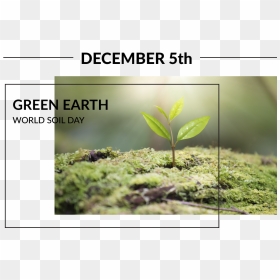 Plantation, HD Png Download - green earth png