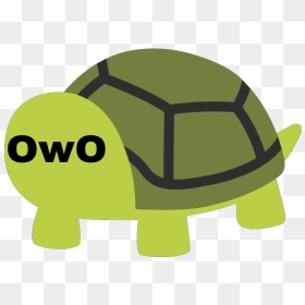 Turtle Emoji Png, Transparent Png - neckbeard png