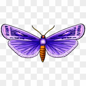 Butterfly 31 Clip Arts - Butterflies, HD Png Download - butterfly net png