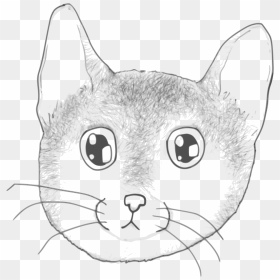 A Stripped Kitten Face Clip Arts - Cat, HD Png Download - kitten face png
