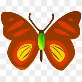 Descargar Mariposa, HD Png Download - butterfly net png