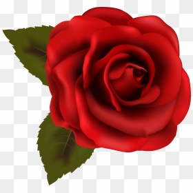 Beautiful Red Rose Transparent Png Clip Art Image - Rose Clipart Transparent Background, Png Download - rose clip art png