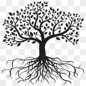 Tree Silhouette With Roots, HD Png Download - tree root png