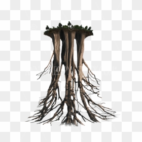 Tree Roots Drawing Png, Transparent Png - tree root png